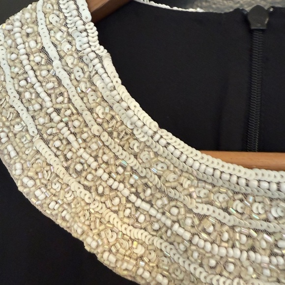 Needle & Thread size 4 mint condition silk beaded dress- sat in a closet. - Picture 5 of 14